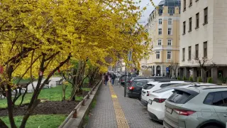 Нагло: Кола паркира до диагонал на пешеходна пътека Снимка