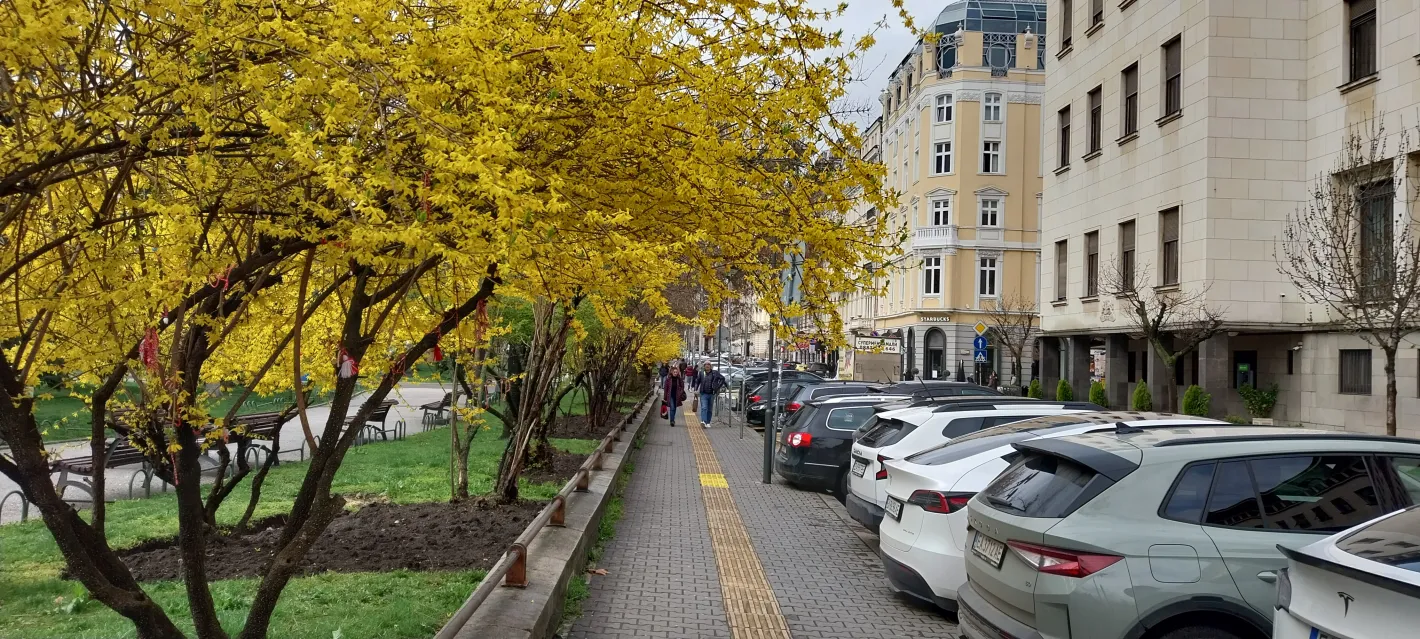 Нагло: Кола паркира до диагонал на пешеходна пътека Снимка