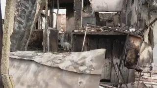 Семейство с три деца оцеля в огнен ад, а после дари реколтата си в знак на благодарност