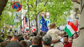 Рекордна избирателната активност в Унгария към 13:00 ч.