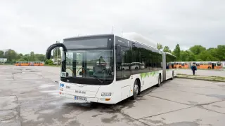 Тръгва новата автобусна линия в градския транспорт на София