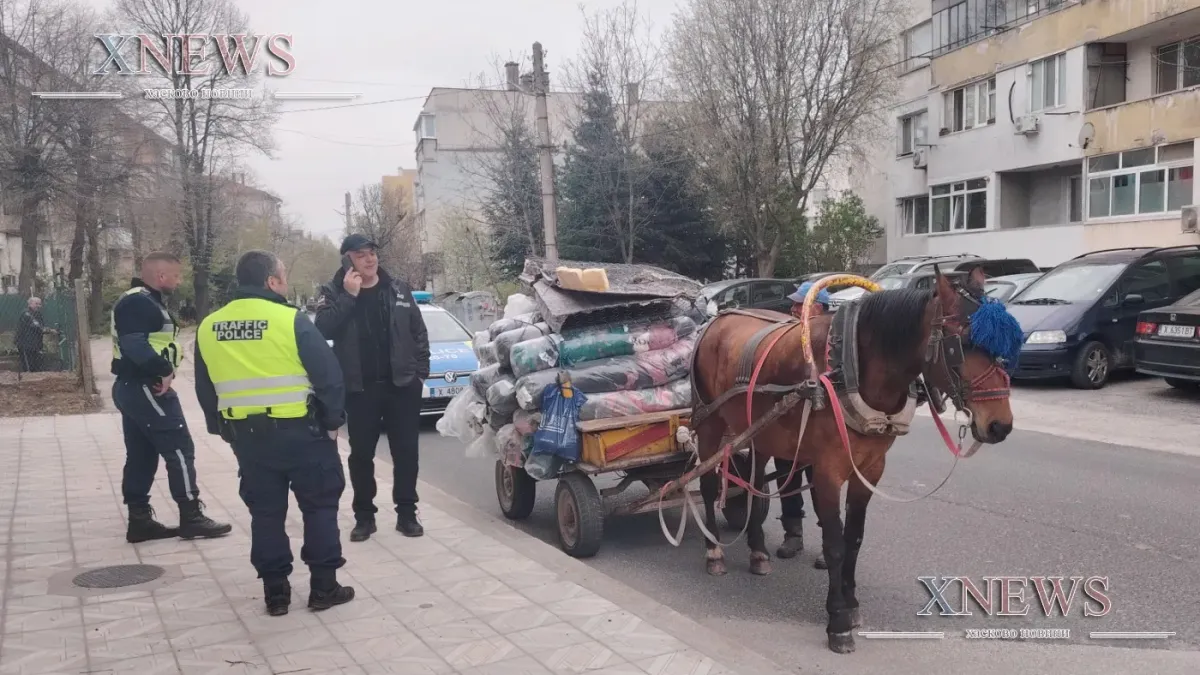 Кон с каруца падна и блокира кръстовище в Хасково