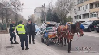 Кон с каруца падна и блокира кръстовище в Хасково