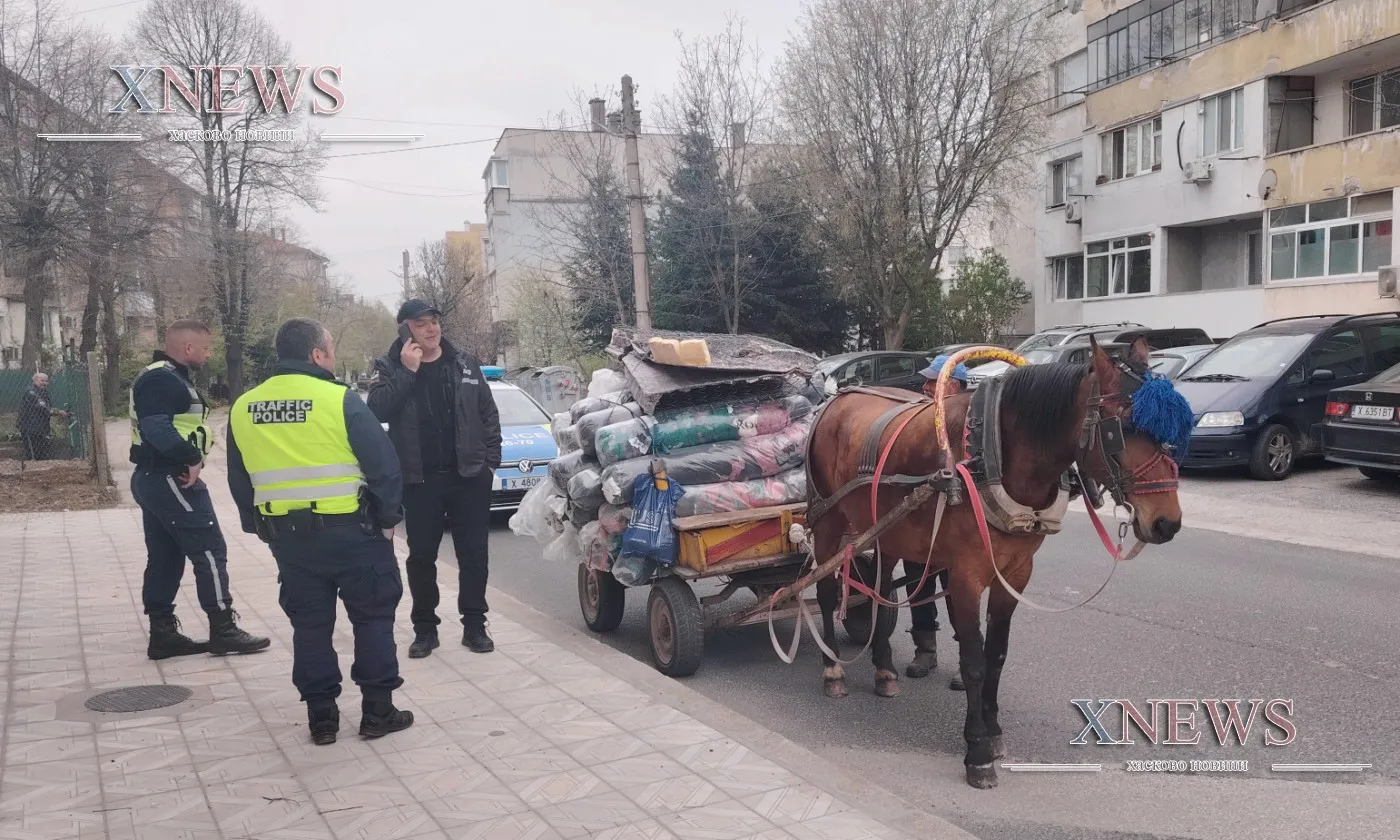Кон с каруца падна и блокира кръстовище в Хасково