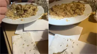 Клиент на лъскав ресторант във Варна извади цял рояк гадинки от манджата си