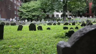 Откриха телата на 50 бебета, изхвърлени в гробище