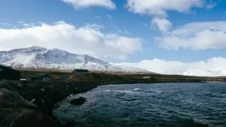 Комарите в Исландия предвещават нещо много лошо
