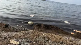 Като филм на ужасите: Потресаваща гледка с трупове на красив наш плаж