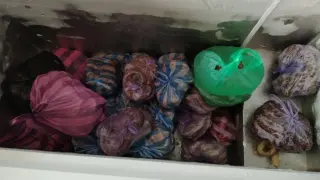 БАБХ затвори две кланици заради опасни нарушения