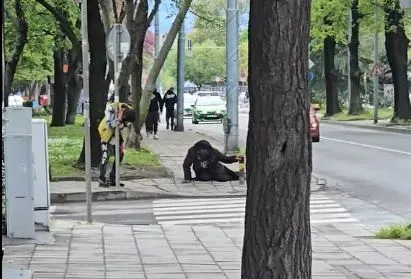 Смущаваща гледка на улица „Македония“: мъже „замръзнаха“ край пешеходна пътека