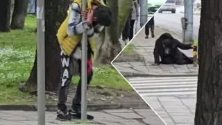 Смущаваща гледка на улица „Македония“: мъже „замръзнаха“ край пешеходна пътека