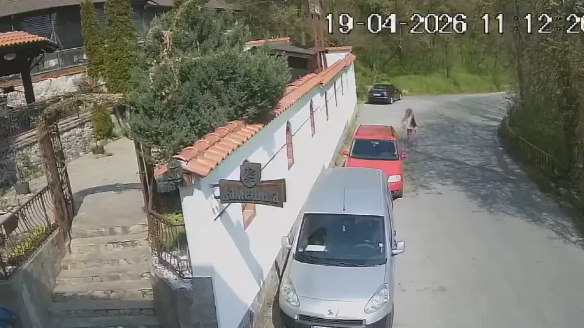 "Бяга все едно е обрала банка": Жена задигна цвете в Асеновград