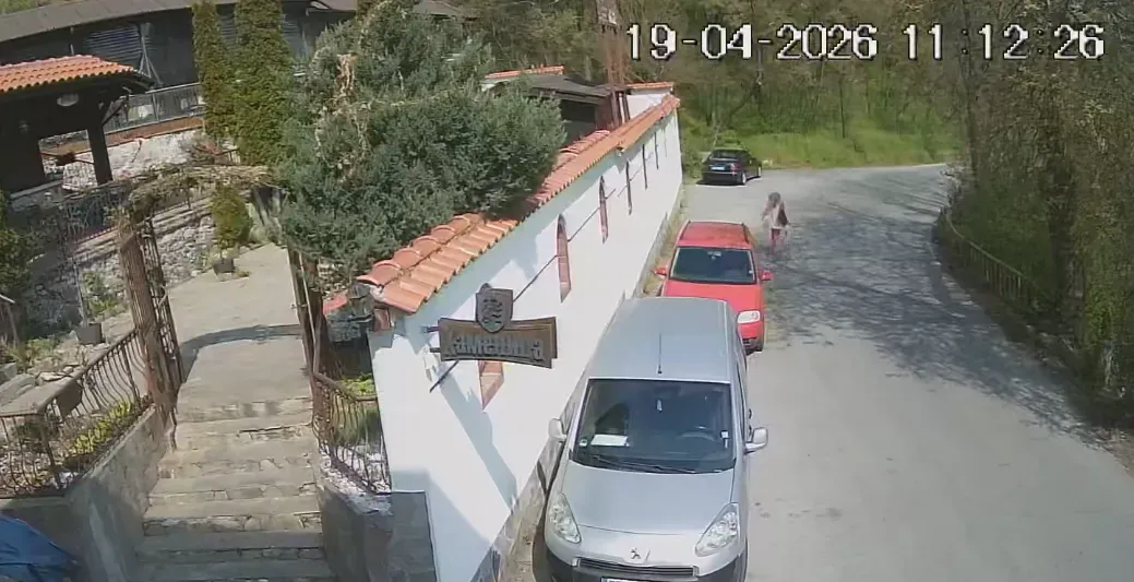 "Бяга все едно е обрала банка": Жена задигна цвете в Асеновград