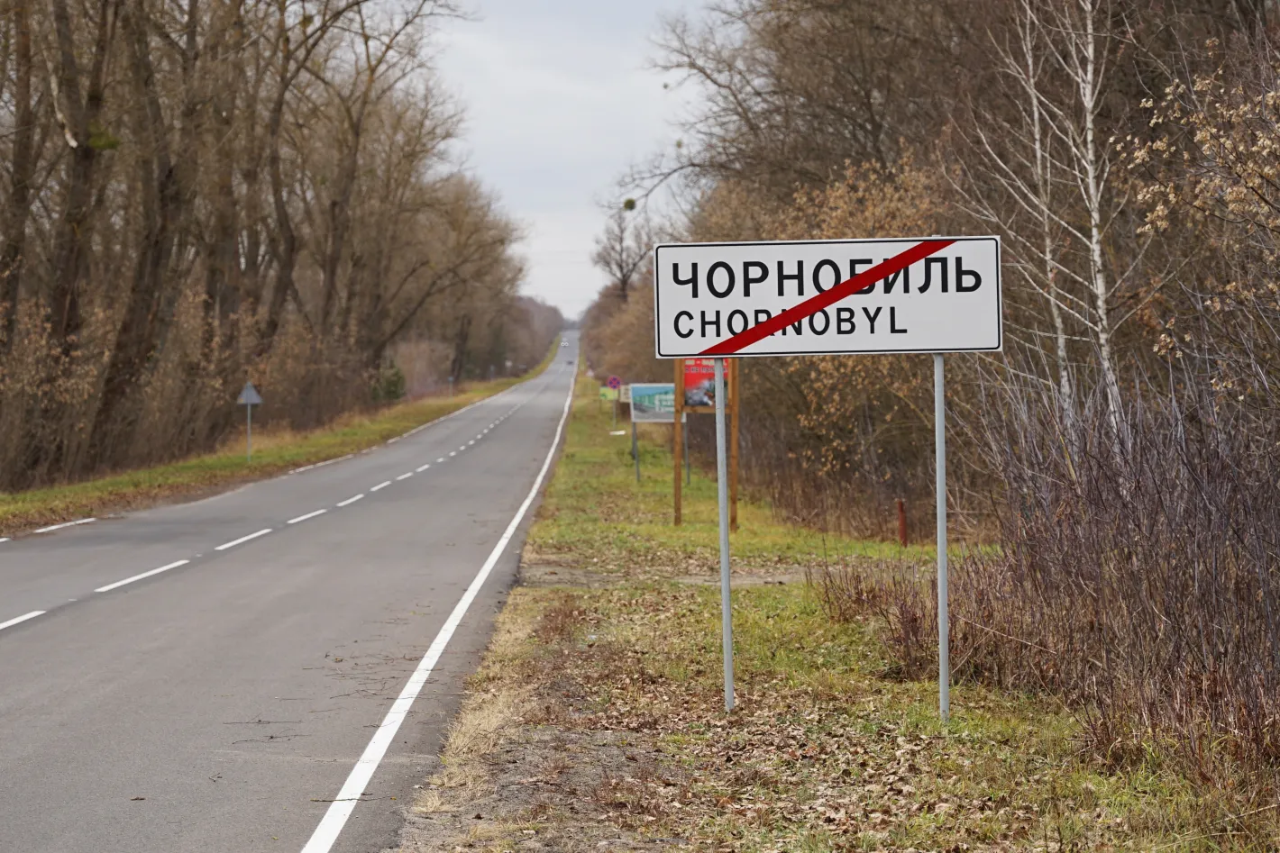 В Чернобил видяха най-малката птица в Украйна