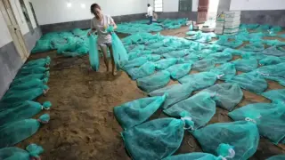 Млада жена показа опасния си бизнес