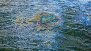 Разлив на 6000 тона слънчогледово масло замърси Черно море