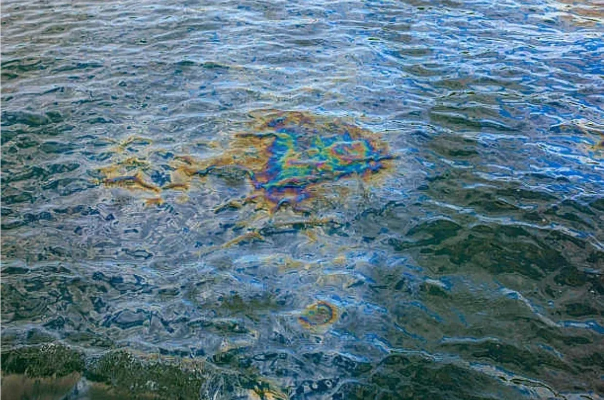 Разлив на 6000 тона слънчогледово масло замърси Черно море
