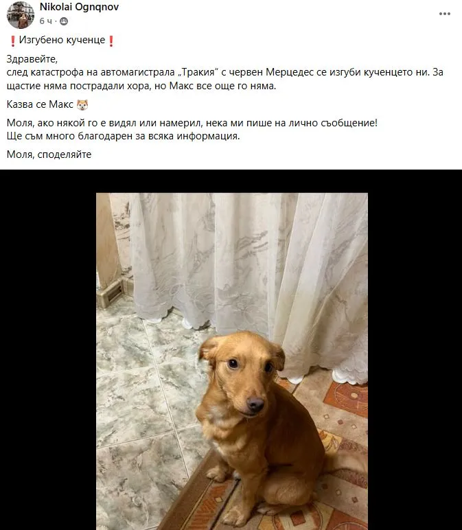 Катастрофа на АМ „Тракия“ с черен Мерцедес: след инцидента изчезна Макс Снимка