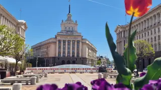 В последните минути: Сексапилна блондинка фаворит за шеф на НС