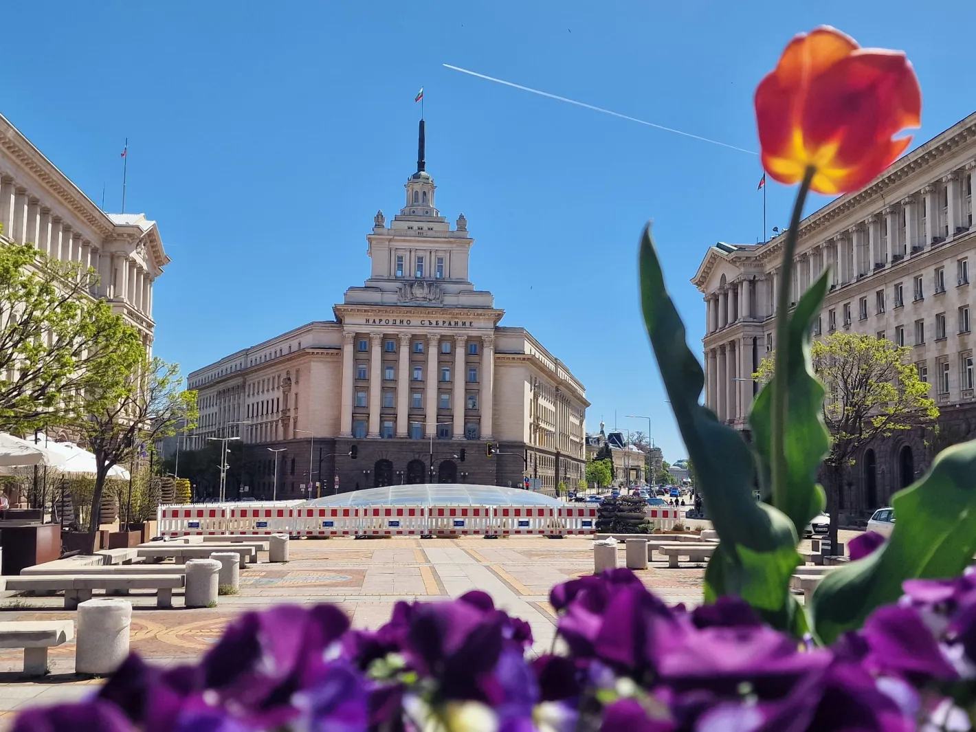 В последните минути: Сексапилна блондинка фаворит за шеф на НС
