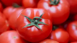 Проверка установи: Това е мястото с най-евтините домати в България