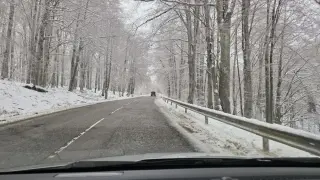 Кола излетя от пътя на прохода "Петрохан"