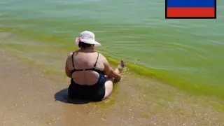 Бойко: Сезон ще има, въпреки мазута в Черно море