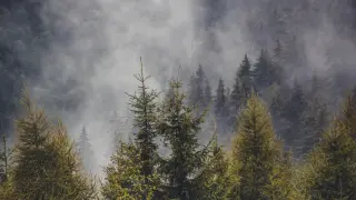 В Трансилвания треперят от страх и не смеят да излизат нощем, но не заради Дракула