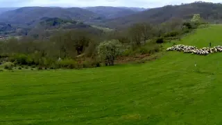 Пътят до мощите на Йоан Кръстител - през райските кътчета на България
