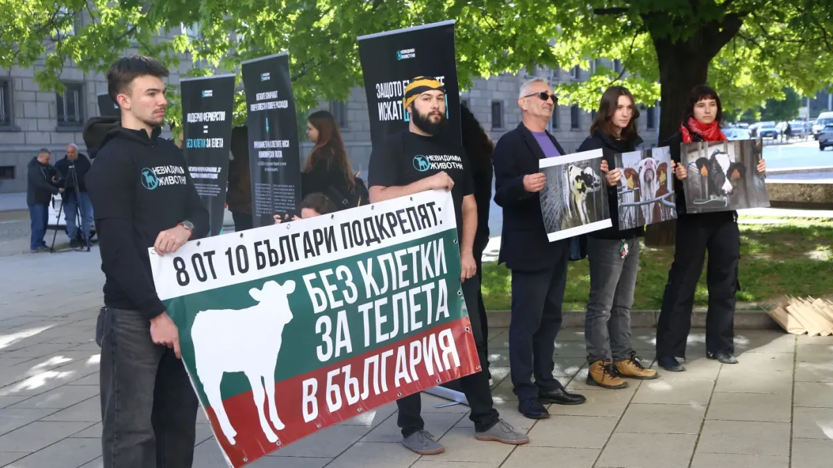 Хора в клетки пред парламента стреснаха депутатите Снимки
