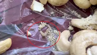 Магазин в Монтана пробутва на клиентите ядки с добре почерпени червеи
