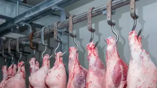 Инвестиция за над 500 000 евро за нов месокомбинат в Нова Загора