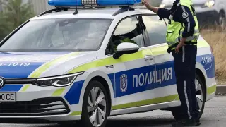 Голямо дърво падна в Пловдив, полиция отцепи района
