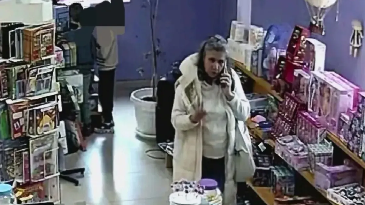 Жена е обвинена в кражба на портмоне в увеселителен парк в София
