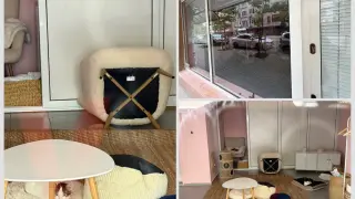 Сигнали за котки-наемателки предизвикаха напрежение в Бургас