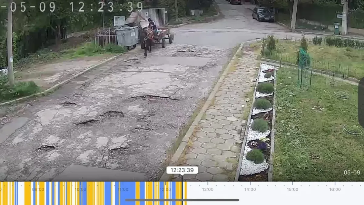 Дивани с каруца блокираха сметосъбирането в София Снимки