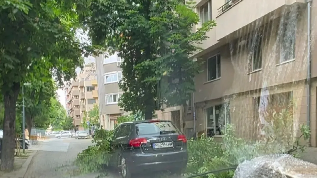 Огромен клон падна върху движещ се автомобил по време на бурята в Пловдив
