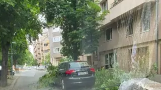 Огромен клон падна върху движещ се автомобил по време на бурята в Пловдив