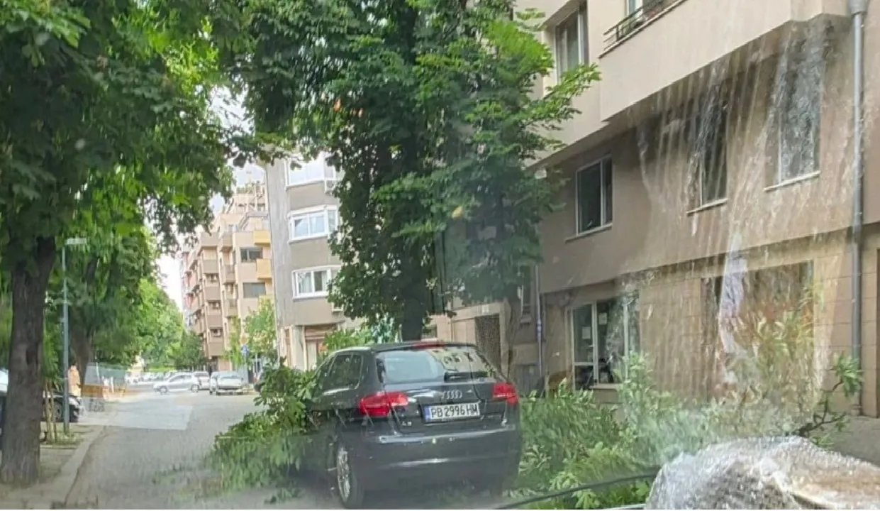 Огромен клон падна върху движещ се автомобил по време на бурята в Пловдив