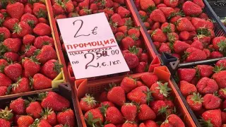 Само 2 евро за килограм! Пловдивчанка посочи място с цени, които вече изглеждат почти нереални