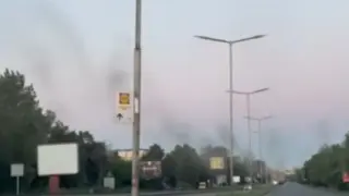 Нашествие в Бургас: въздухът почерня от рояци насекоми