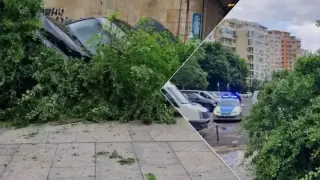 Прокуратурата разкри нови детайли за сириеца, крил мигранти в багажник и предизвикал ПТП след гонката в Бургас