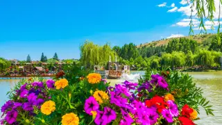 Най-цветното място в България оживява това лято край София