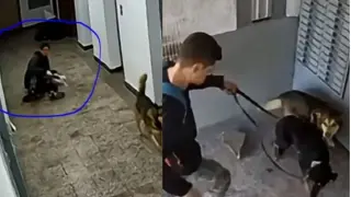 София: Мъж седи върху кучето си, докато чака - засипа го с удари Кадри 18+ Обновена