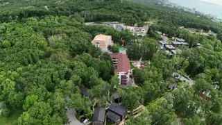 Адвокат вся смут с твърдение за сгради в незаконния град "Баба Алино"