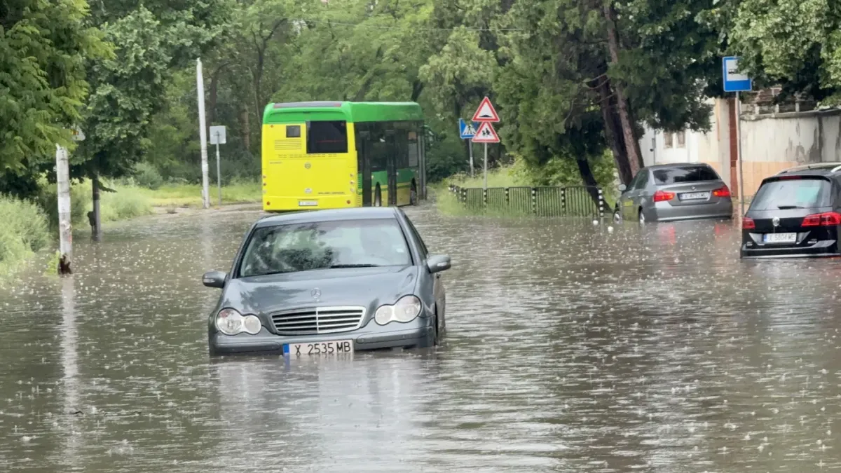 След пороя в Хасково: паднали дървета и скъсани кабели, жена блокирана в кола