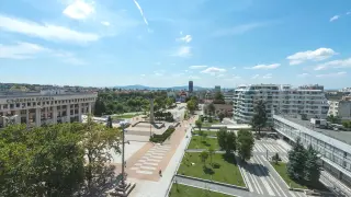 Сладко чудо на природата превзе центъра на Бургас