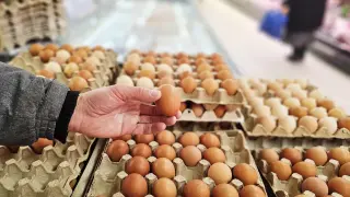 Нова наредба променя условията за продажба на яйца в България