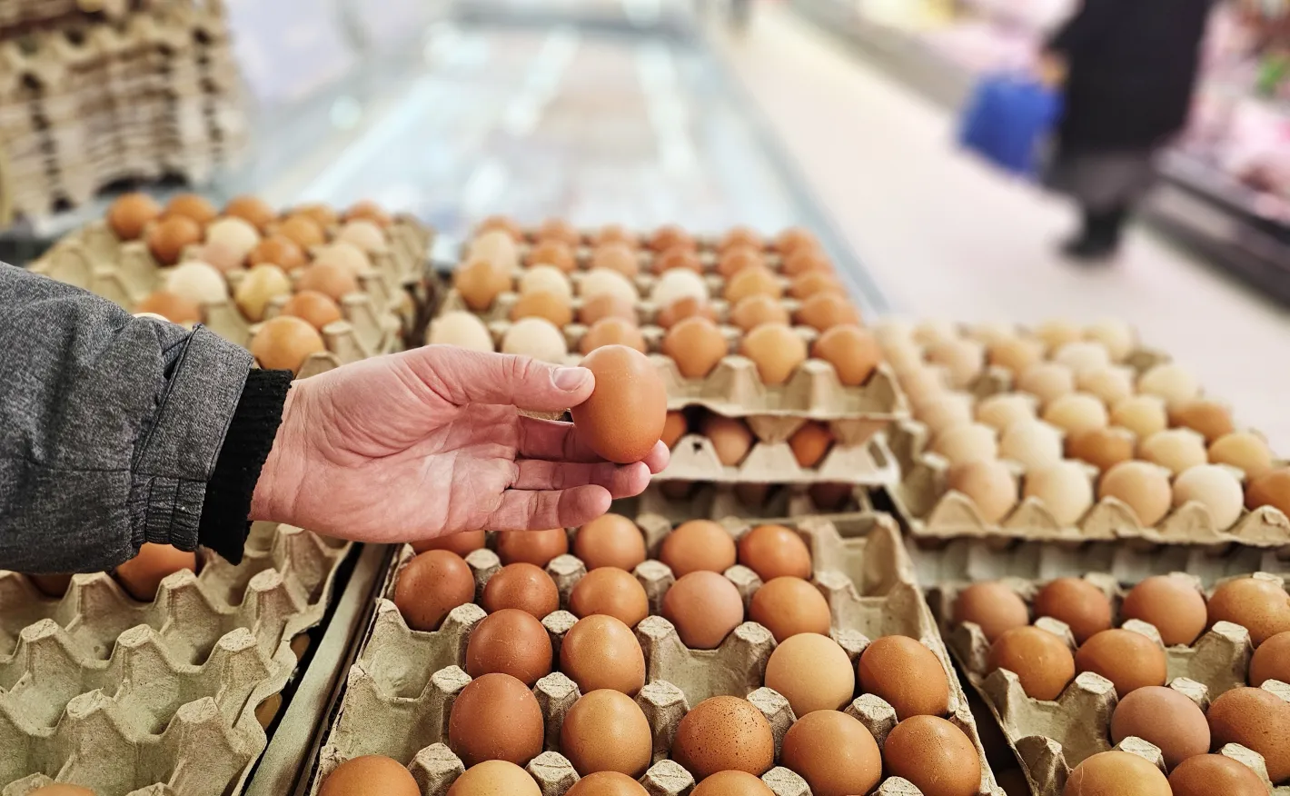 Нова наредба променя условията за продажба на яйца в България