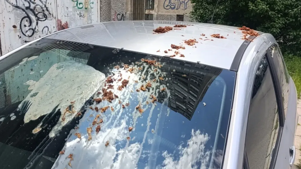 Лекар се оплака от брутална атака по колата му в София, съседи го порязаха